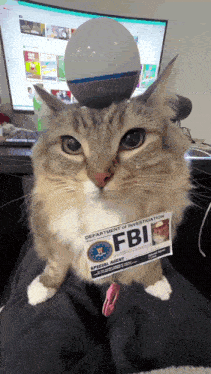 a cat wearing a fbi badge sitting on a person 's lap