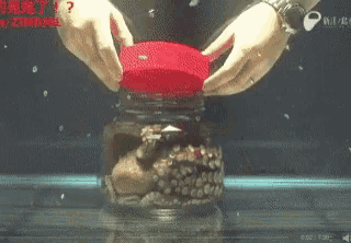 Octopus Letmeout GIF - Octopus Letmeout Cantholdmedown GIFs