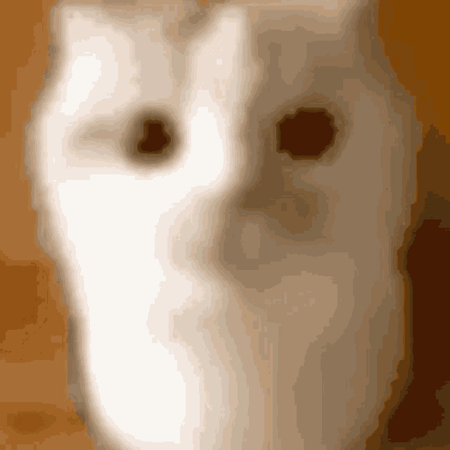a close up of a white cat 's face with brown eyes