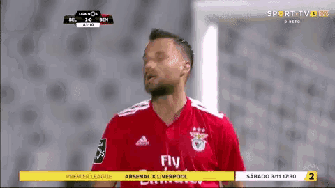 a soccer player wearing a red fly emirates jersey is standing on a field .