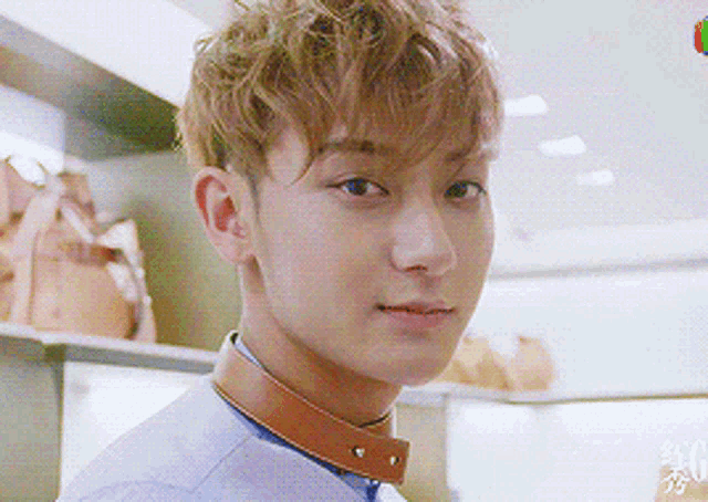 a close up of a young man wearing a blue shirt and brown collar