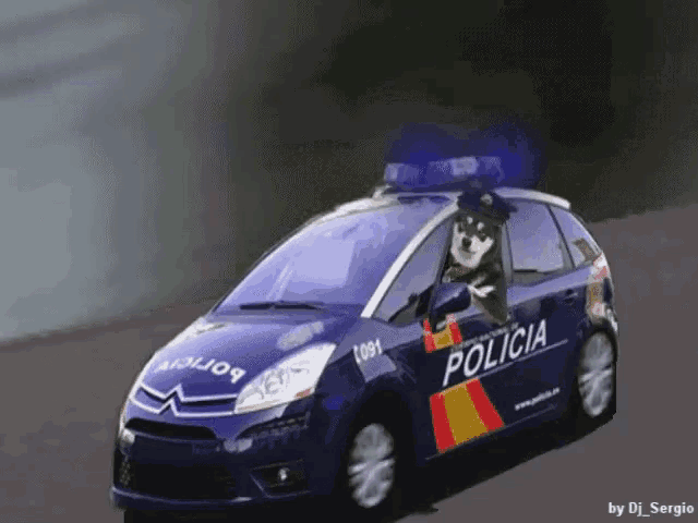 a dog wearing a hat is driving a police car