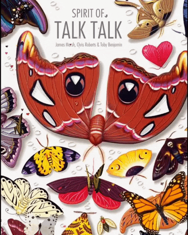 Talk Talk The Colour Of Spring GIF - Talk Talk The Colour Of Spring Livejacketflix GIFs
