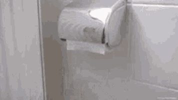 a person is holding a roll of toilet paper that has a face drawn on it .