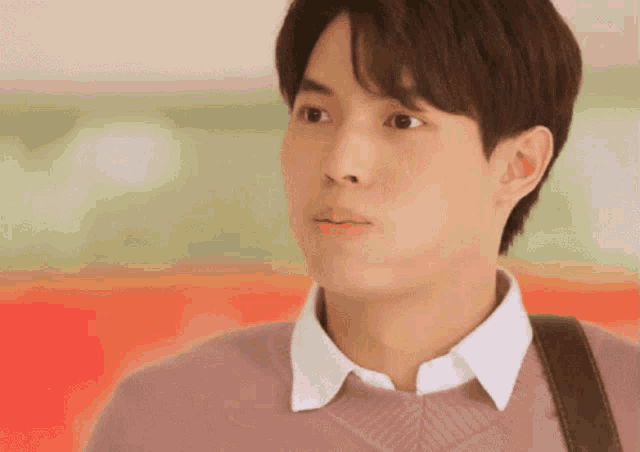 a young man wearing a pink sweater and a white shirt looks at the camera .