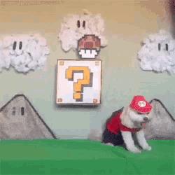 a dog wearing a red hat and a red shirt is standing in front of a mario game scene
