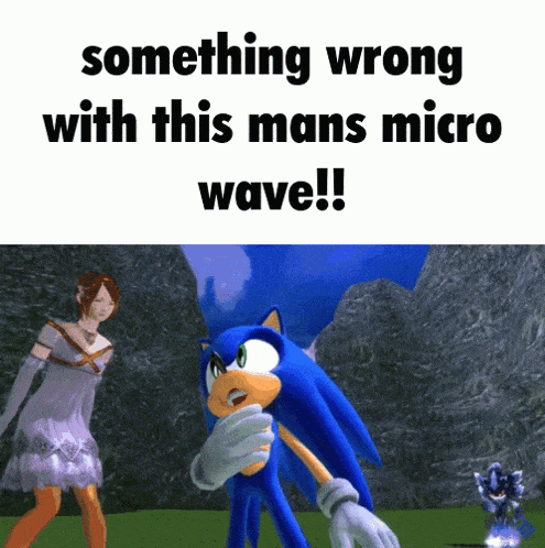 Something Wrong With This Mans Microwave Sonic GIF - Something Wrong With This Mans Microwave Microwave Sonic GIFs