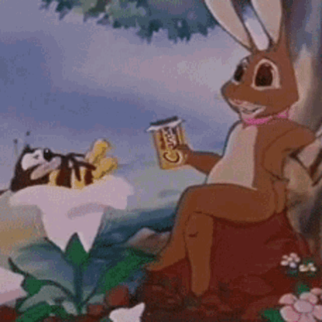 Oops Interrupted GIF - Oops Interrupted Bunny GIFs