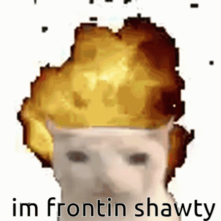 a cat with an explosion in its head and the words `` im frontin shawty '' below it .