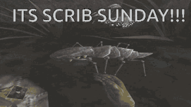 Scrib Morrowind GIF - Scrib Morrowind GIFs