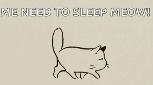 Anime Cat GIF - Anime Cat Sleep GIFs