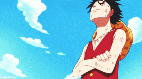 Luffy Shout GIF - Luffy Shout Yell GIFs