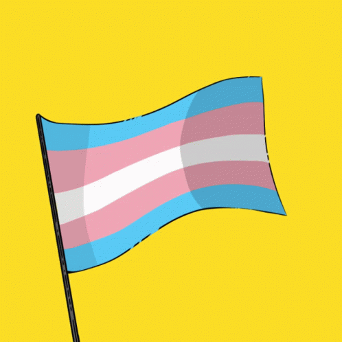 Trans Transgender Flag GIF - Trans Transgender Flag Pride GIFs