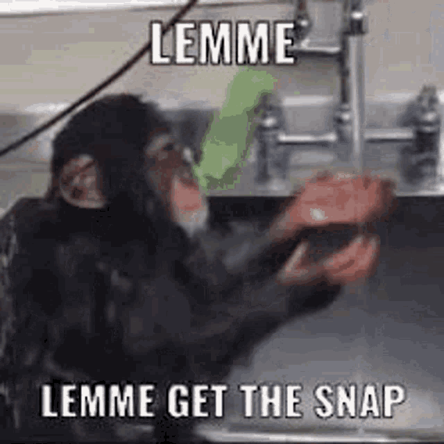 Lemme Get The Snap Monkey Snapchat GIF