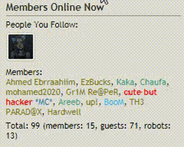 a page that says members online now people you follow
