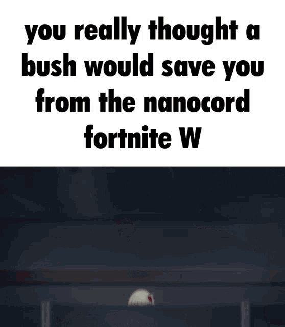 a picture of a girl holding a gun with the caption you really thought a bush would save you from the nanocord fortnite