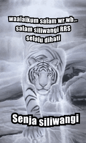 a black and white photo of a tiger with the caption waalaikum salam wr wb