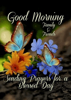 a good morning card with butterflies and flowers and the words `` sending prayers for a blessed day ''