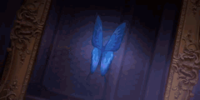a blue butterfly is hanging from a wall