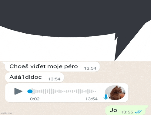 a chat with a cat and a speech bubble that says jo