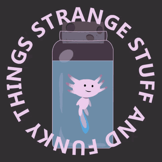 Strange Stuff And Funky Things Axolotl GIF - Strange Stuff And Funky Things Axolotl Ssaft GIFs