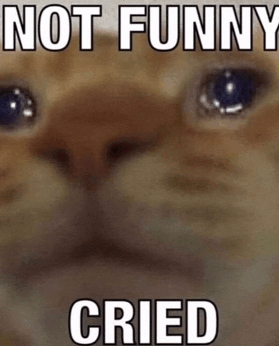 a close up of a cat 's face with the words not funny cried above it
