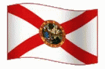 Florida Flag GIF - Florida Flag GIFs