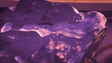 a man with a beard is standing in front of a purple background .