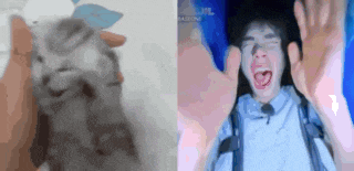 a close up of a cat and a close up of a man screaming