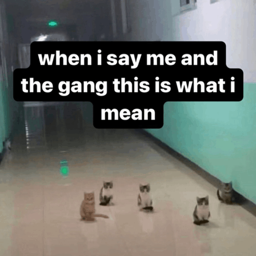Me And The Gang Meme GIF - Me And The Gang Gang Meme GIFs