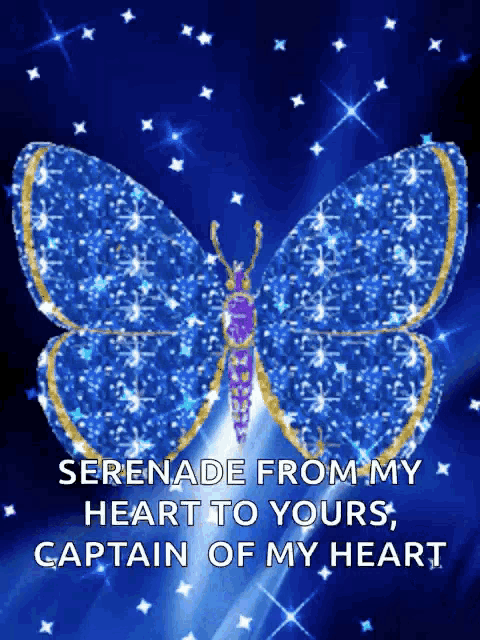 a blue butterfly with the words serenade from my heart to yours captain of my heart written below it