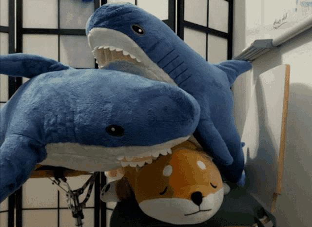 a blue stuffed shark is laying on top of a stuffed dog