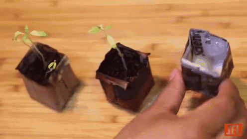 Make Your Own Seed Starter Pots! GIF
