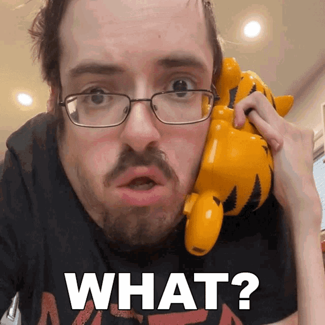 a man with glasses and a beard is holding a stuffed tiger and says what
