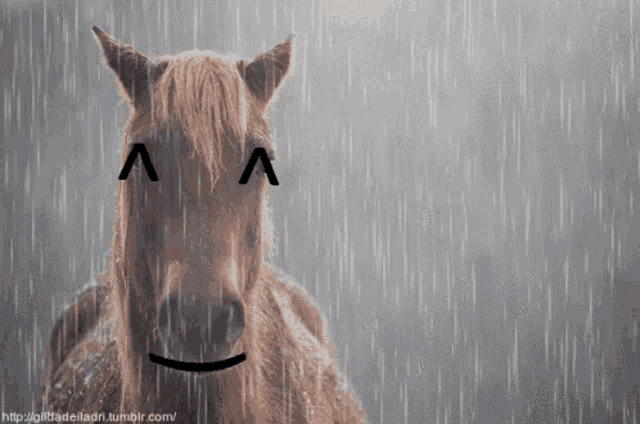 a horse with a smiley face drawn on its face