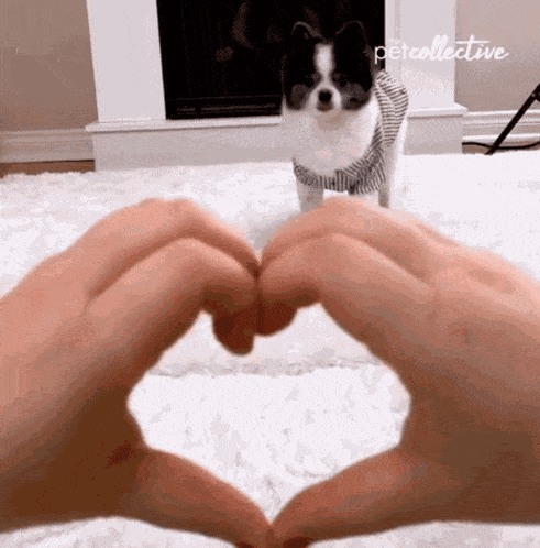 a person making a heart shape with their hands
