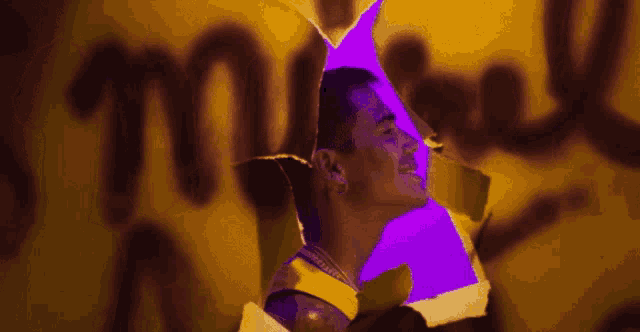 a man 's face is visible through a hole in a wall with the word noise written on it