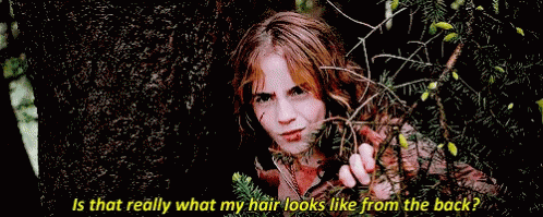 Hermione Is That Really What My Hair Looks Like GIF