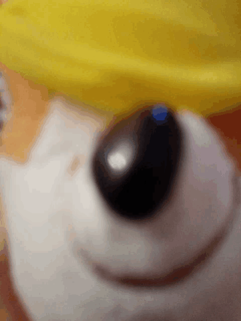 a close up of a stuffed animal with a yellow hat on