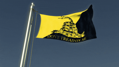 a yellow and black flag with a snake and the words " do n't tread on me " on it