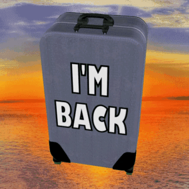 Hiya Im Back GIF - Hiya Im Back Suitcase GIFs