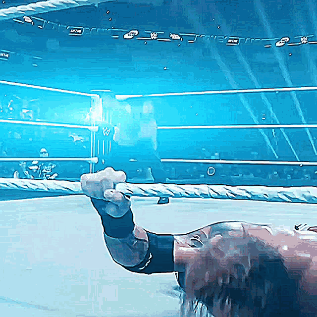 a man in a wrestling ring with a sign that says wwe