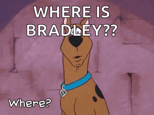 Scoobydoo Where GIF - Scoobydoo Where Lost GIFs