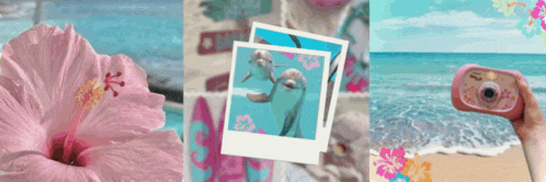 a person taking a picture of dolphins with a pink camera