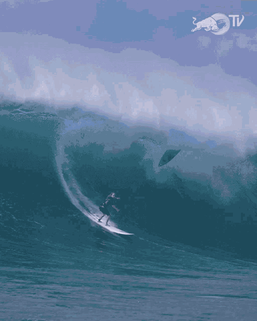 Enjoying The Big Waves Red Bull GIF - Enjoying The Big Waves Red Bull Surfing GIFs