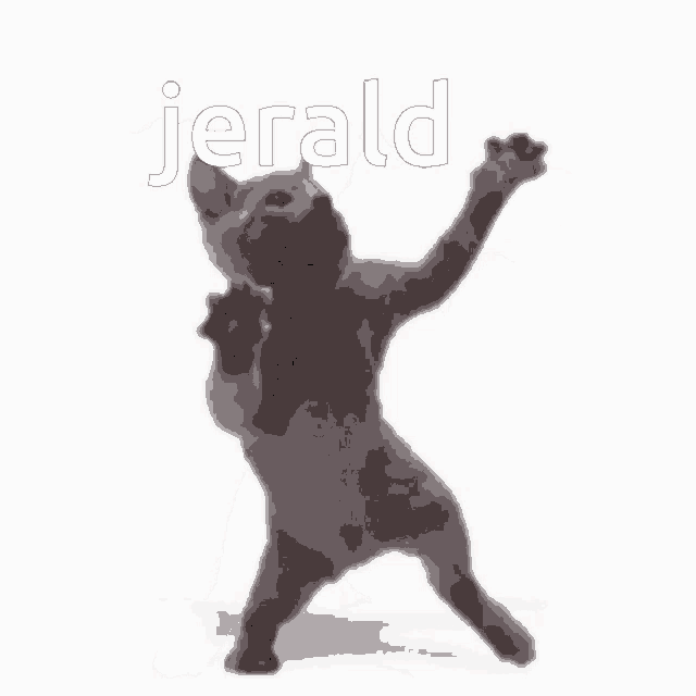 a cat is dancing in front of a white background with the word gerald written on it