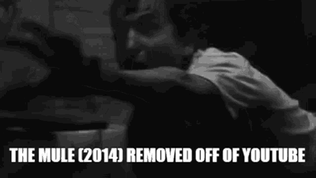 a black and white photo of a man with the caption the mule removed off of youtube