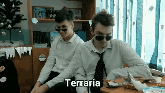 two men sitting at a table with the word terraria written on the bottom