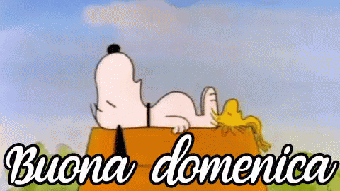 Buona Domenica Domenica Riposare Dormire Snoopy Peanuts GIF - Enjoy Your Sunday Sunday Rest GIFs