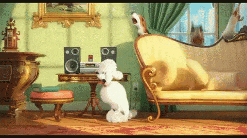 a white poodle is sitting in a living room next to a couch and speakers